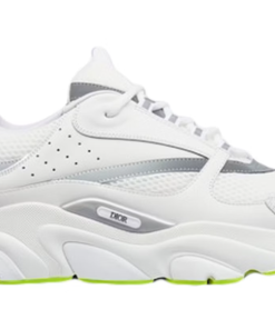Dior B22 "White Silver Fluo Green"