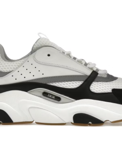 Dior B22 "White Black"