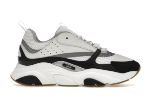 Dior B22 "White Black"