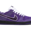 Concepts x Dunk Low SB 'Purple Lobster' Special Box Concepts