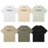 Fear of God Essentials T-shirts (Back)