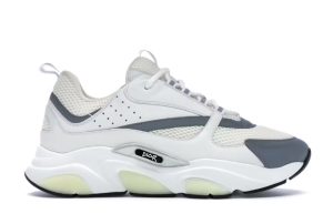 Dior B22 "White Silver"